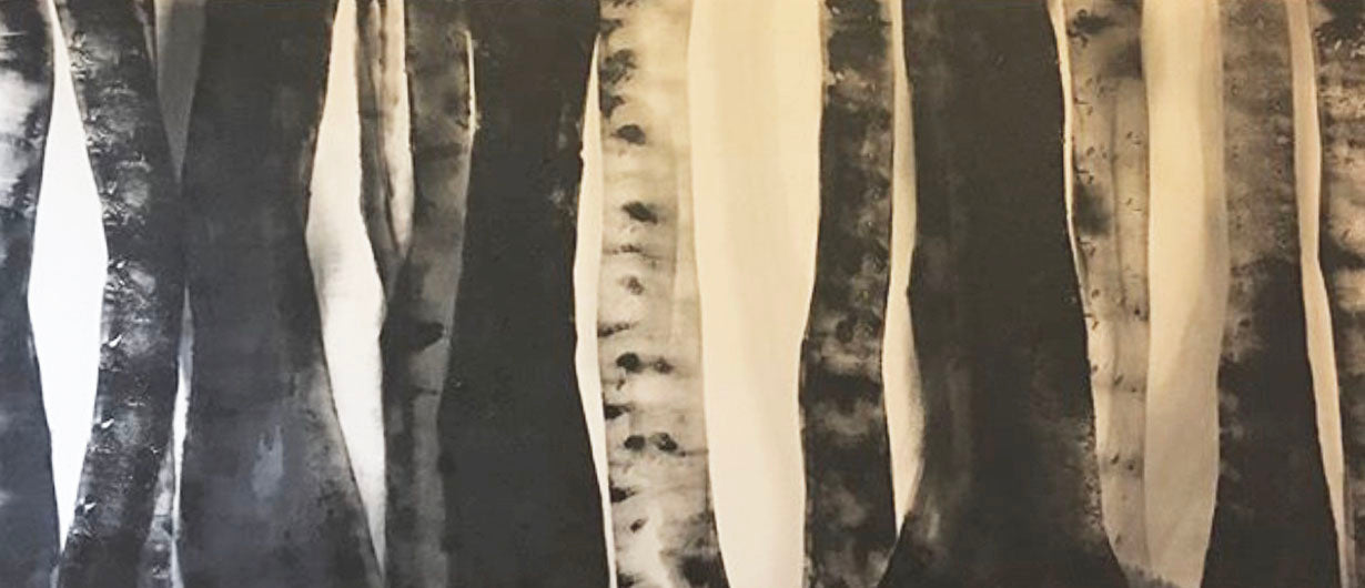 Birch Forest