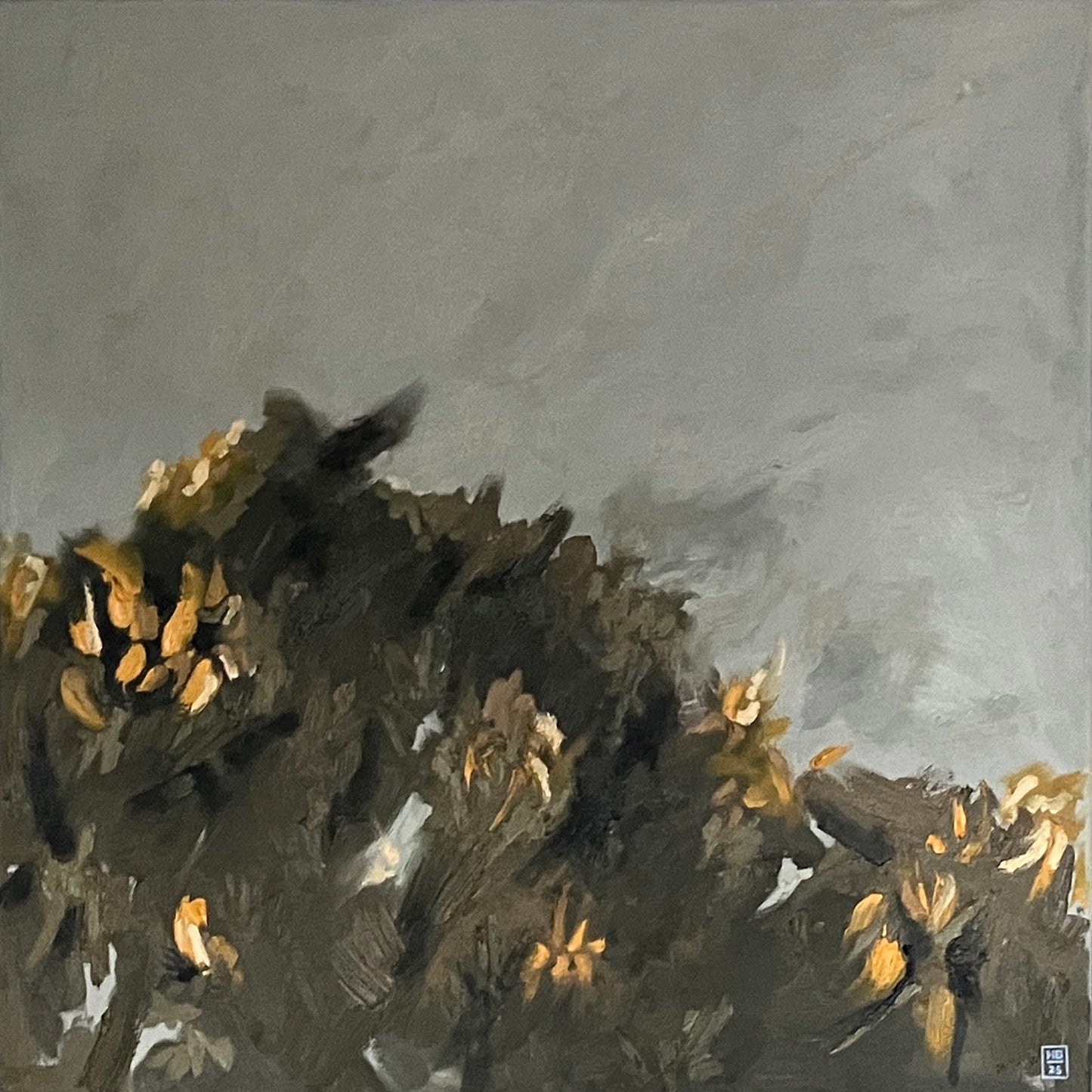 Gorse II, 2025