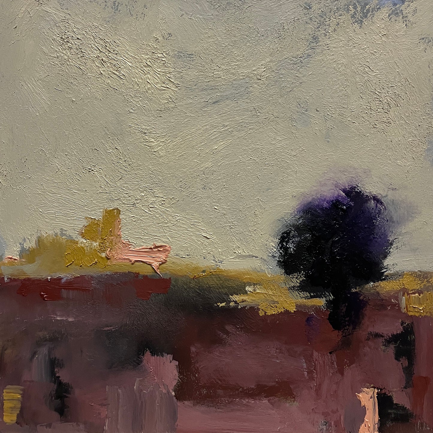 Jacaranda Study, 2025