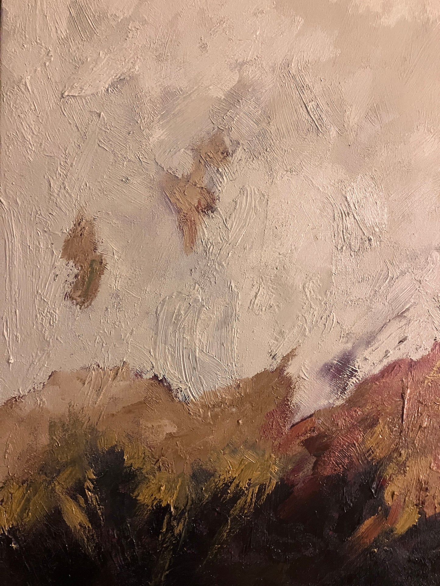 Light on the hillside, 2025