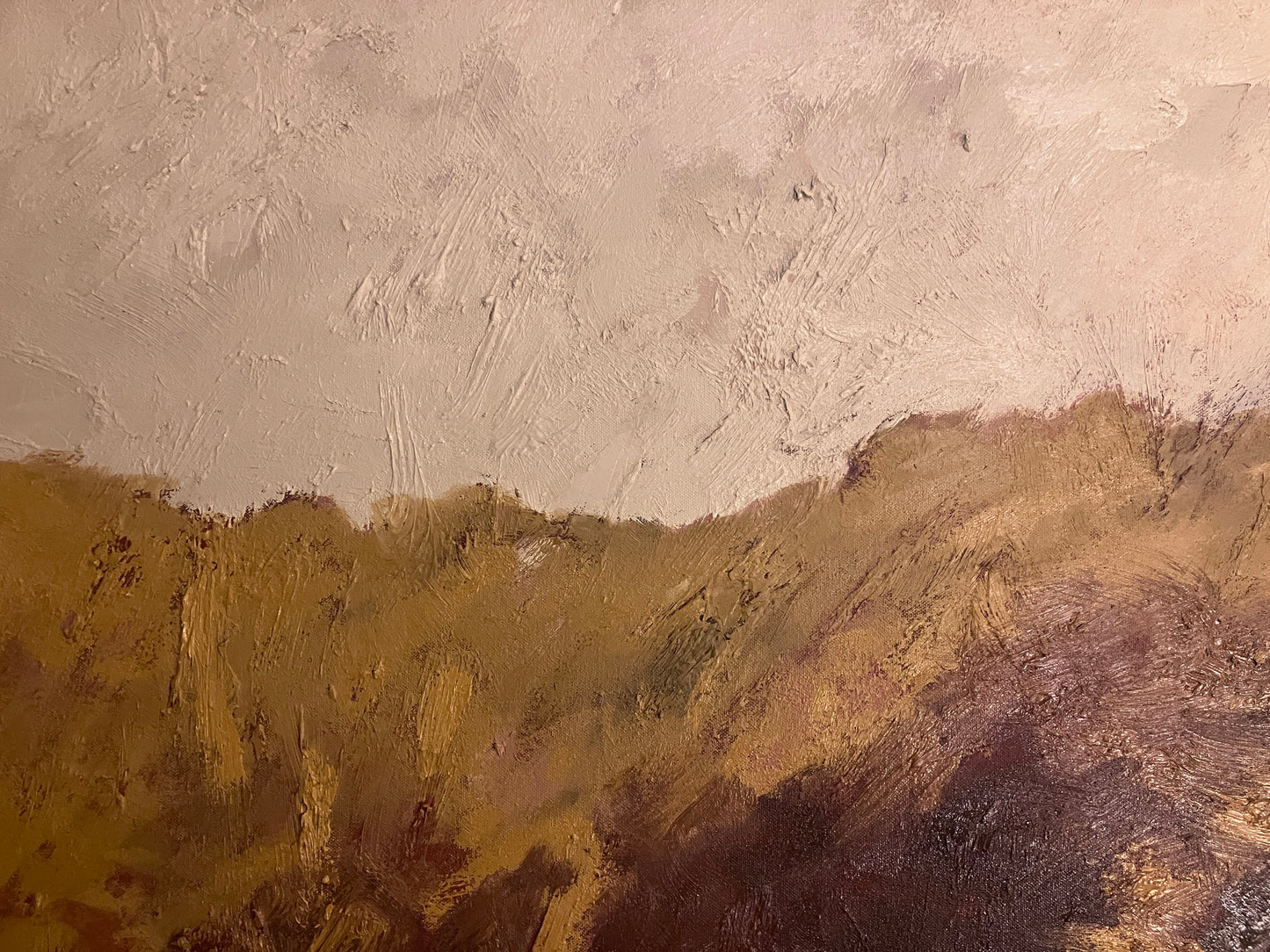 Light on the hillside, 2025