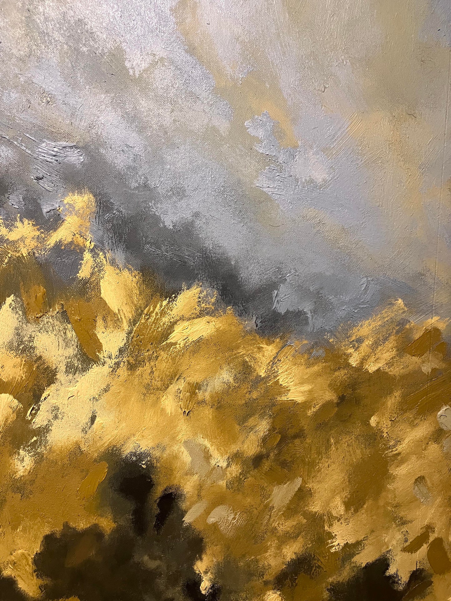 Coast Path colour, 2025