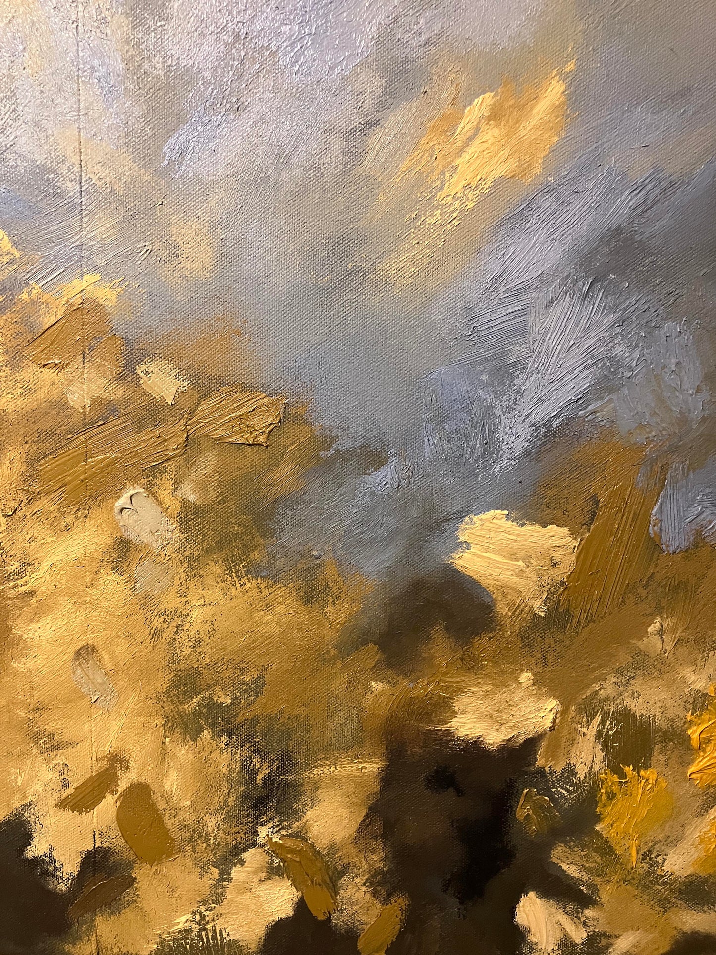 Coast Path colour, 2025