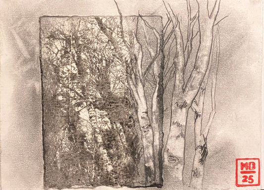 Birch I, 2025