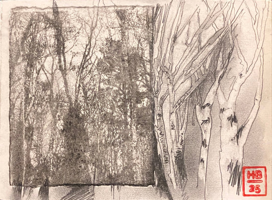 Birch II, 2025