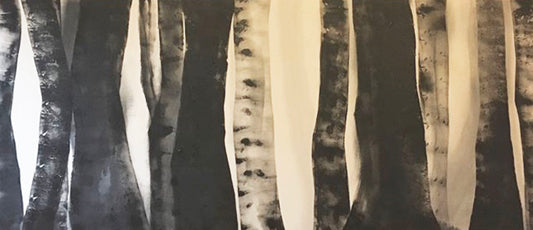 Birch Forest