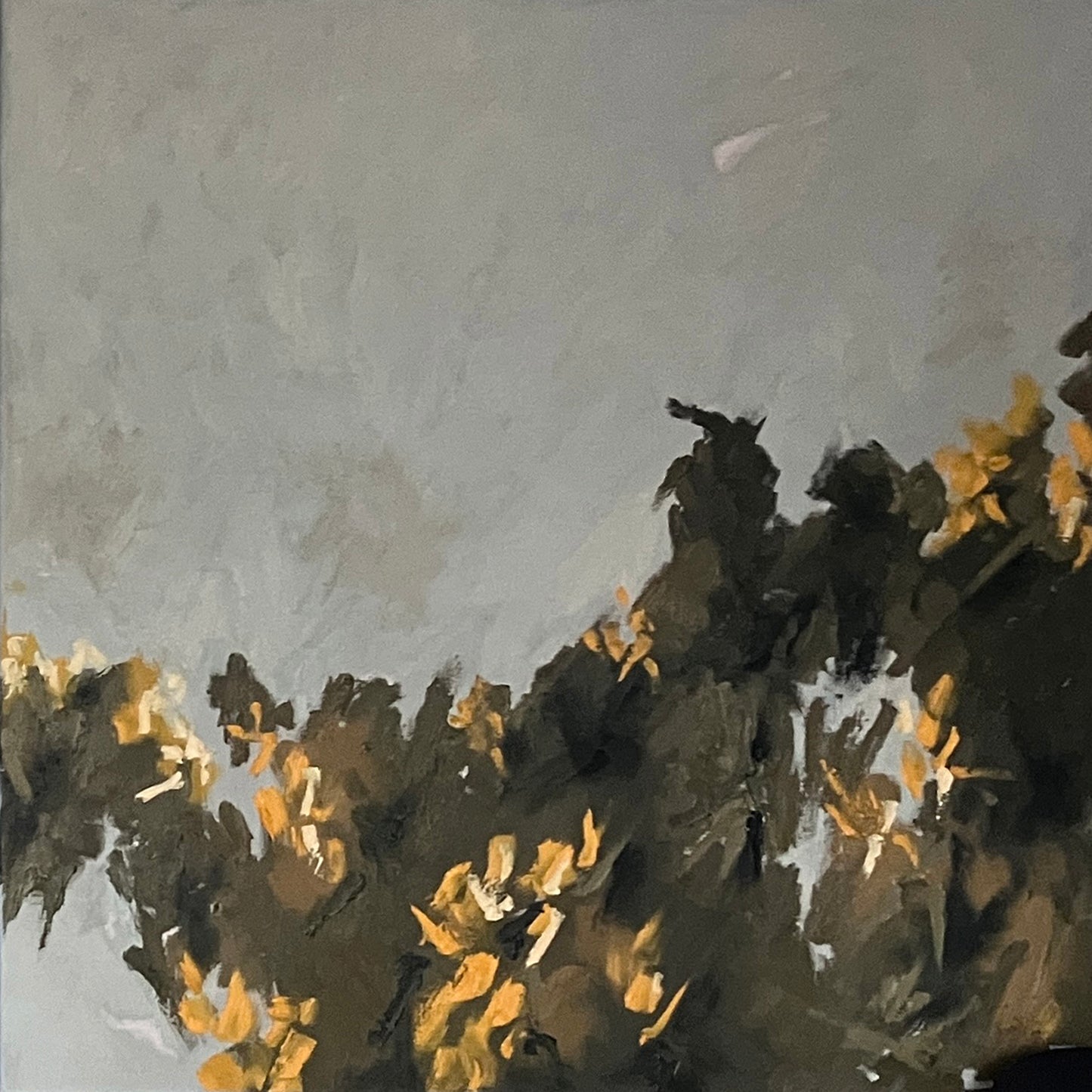 Gorse I, 2025