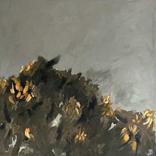 Gorse II, 2025