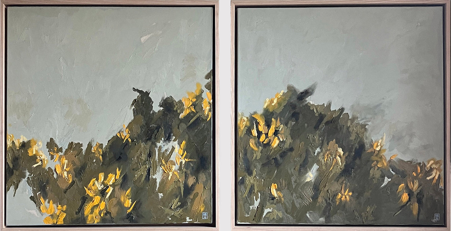 Gorse I, 2025
