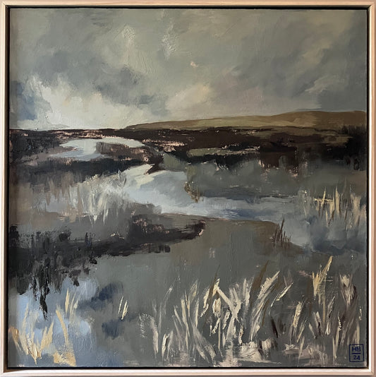 Moorland after heavy rain,2024